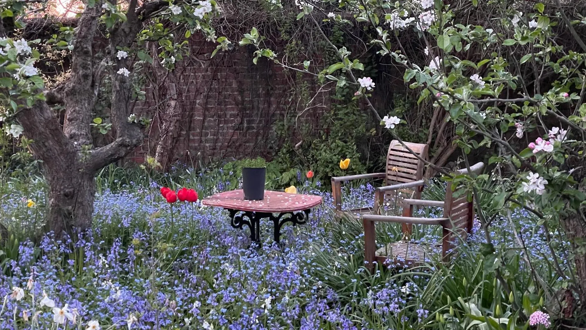 Apricot Cottage Yarm Storbritannien