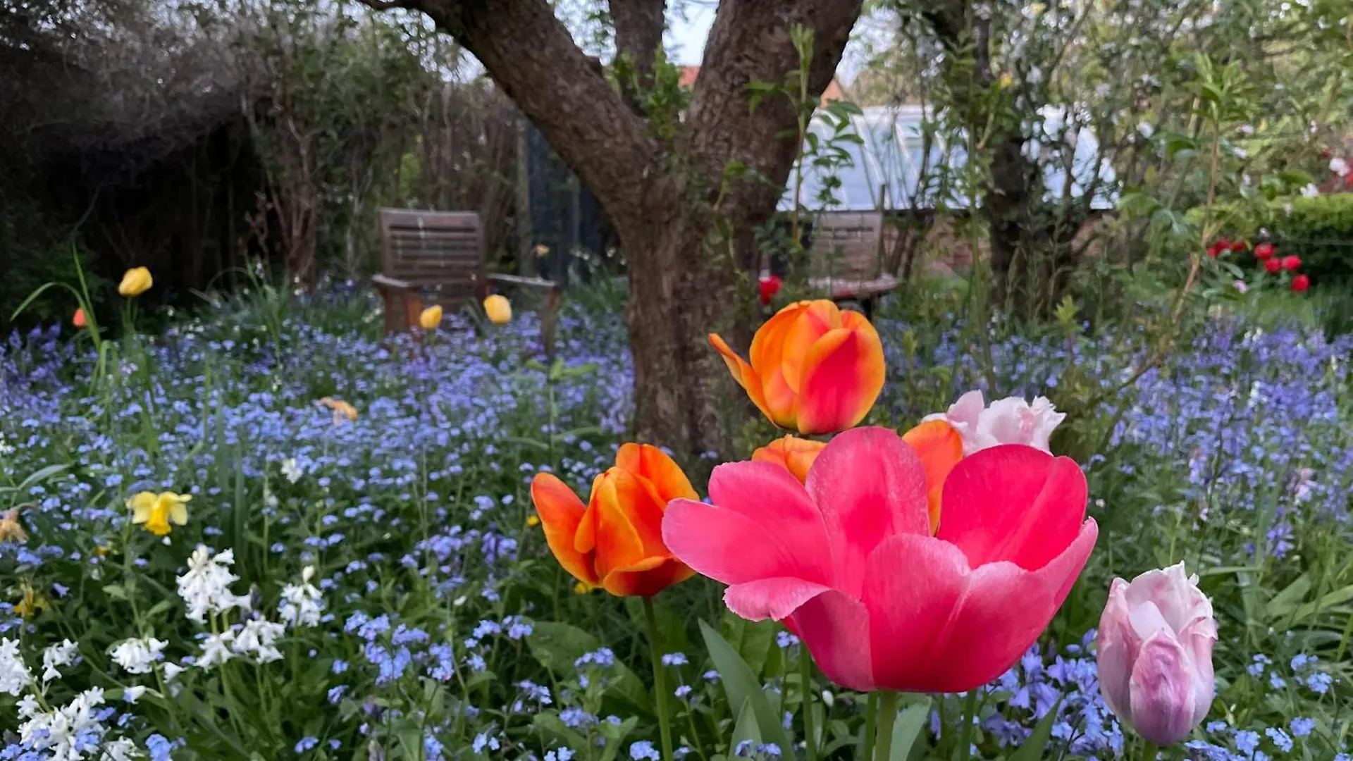 Apricot Cottage Yarm 0*,  Storbritannien